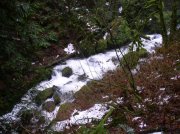 12.23.05 Elowah Falls 031 